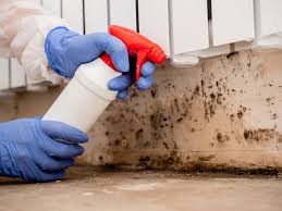 Mold Remediation for Vacation Homes in East Pittsburgh, PA